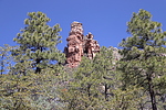 recent photo