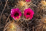 photo thumbnail #15