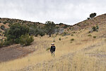 photo thumbnail #14