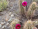 photo thumbnail #4