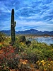 photo thumbnail #1