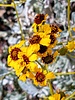 photo thumbnail #15