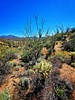 photo thumbnail #12