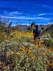 photo thumbnail #7