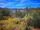 photo thumbnail #10