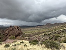 photo thumbnail #1