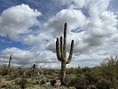 photo thumbnail #7