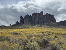 photo thumbnail #8