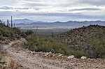 photo thumbnail #2
