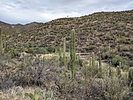 photo thumbnail #7