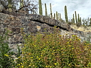 photo thumbnail #10