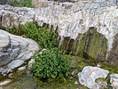 photo thumbnail #14