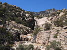 photo thumbnail #14