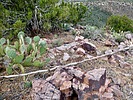 photo thumbnail #11
