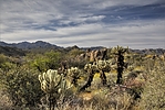 photo thumbnail #5