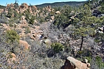 photo thumbnail #10