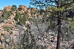 photo thumbnail #11
