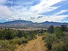 2022-03-31 :1: Toohey Trick Tank Trail #9440 :: kingsnake