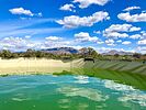 2022-03-31 :1: Toohey Trick Tank Trail #9440 :: kingsnake