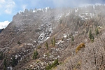 photo thumbnail #9