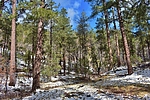 photo thumbnail #11