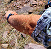 photo thumbnail #9