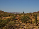 photo thumbnail #7