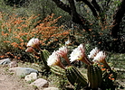 photo thumbnail #9