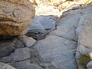 photo thumbnail #11