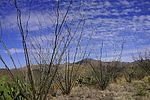 photo thumbnail #6