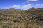 photo thumbnail #11