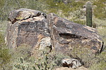 photo thumbnail #6
