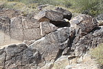 photo thumbnail #9