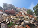 photo thumbnail #7