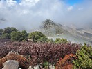 photo thumbnail #12