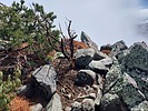 photo thumbnail #13