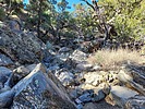 photo thumbnail #2
