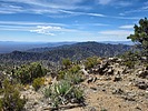 photo thumbnail #12