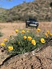 photo thumbnail #15