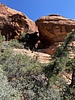photo thumbnail #8