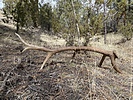 photo thumbnail #8