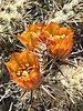 photo thumbnail #1