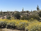 photo thumbnail #5