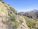 photo thumbnail #2