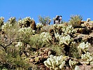 photo thumbnail #3