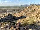 photo thumbnail #3