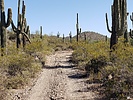 photo thumbnail #5