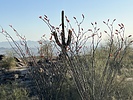 photo thumbnail #3