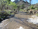 photo thumbnail #5