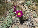 photo thumbnail #15